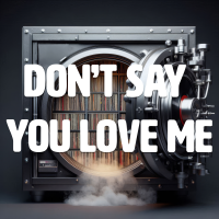 Dont Say You Love Me - Full Cover cover